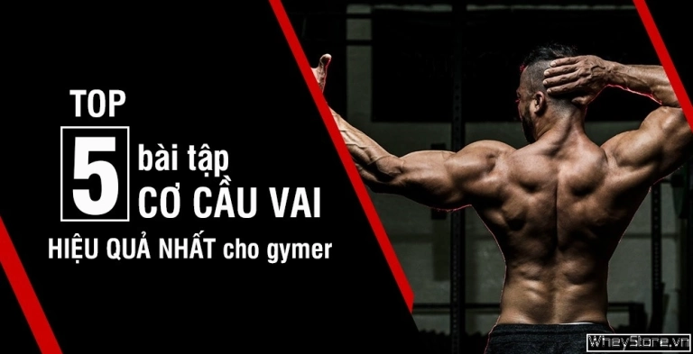 Top 5 Bài Tập Cầu Vai Hiệu Quả Nhất Cho Gymer