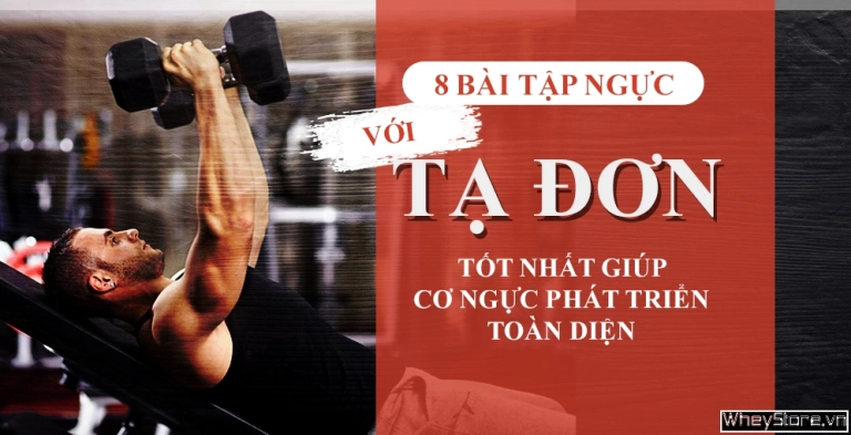 Top Bài Tập Ngực Trên Hiệu Quả Cho Nam Và Nữ Năm 2026