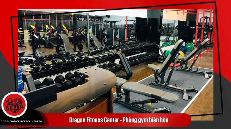 Top các phòng Gym Biên Hòa cập nhật 2026: Trải nghiệm và đánh giá