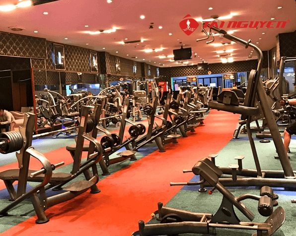 Top phòng Gym Đà Lạt đáng trải nghiệm nhất năm 2026