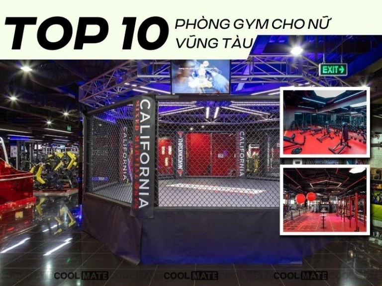 Top Phòng Gym Vũng Tàu: Nâng Tầm Trải Nghiệm Tập Luyện