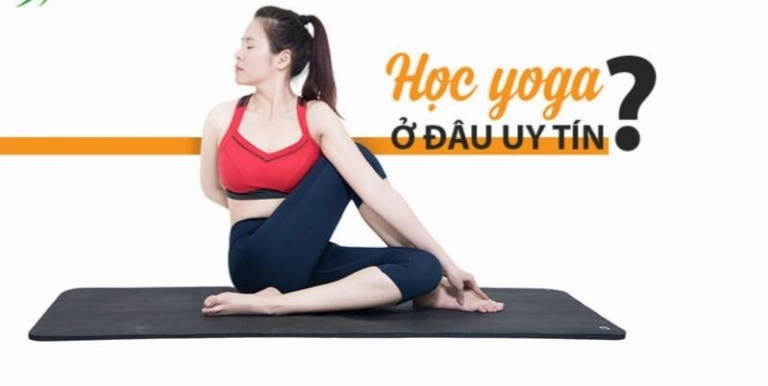 Top Phòng Tập Yoga Uy Tín Quận 6 Cho Người Mới Bắt Đầu