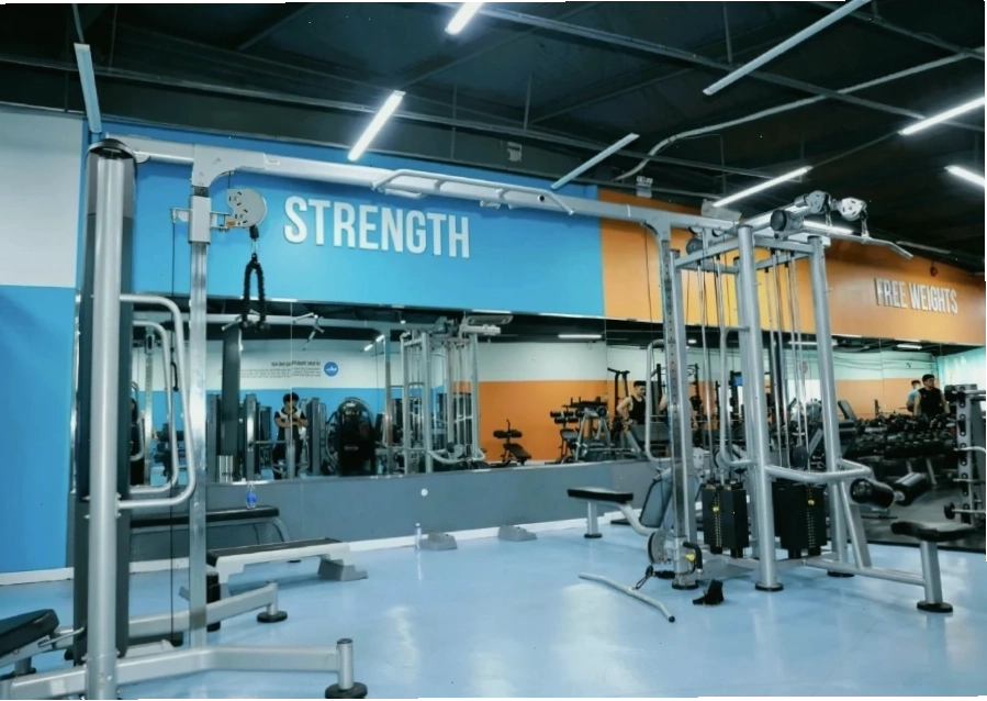 Trang thiết bị tạ rời đa dạng tại The New Gym