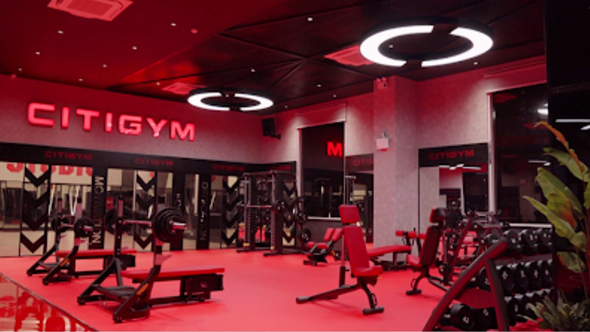 Trang thiết bị Technogym tại California Fitness & Yoga