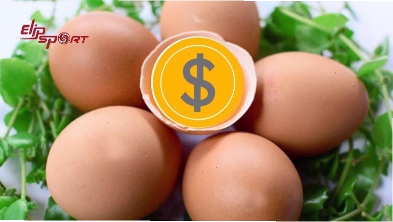 Trứng là loại thực phẩm rẻ, dễ tìm mua ở mọi nơi