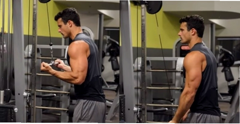 Tư thế bài tập Reverse Grip Tricep Pushdown