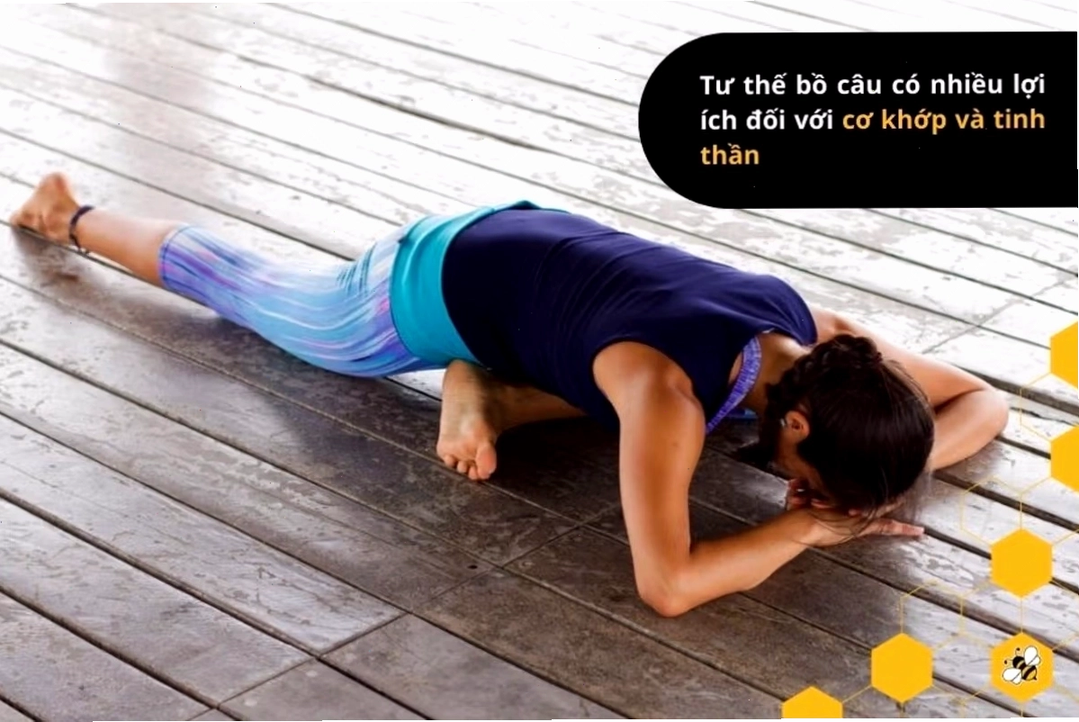 Tư thế bồ câu có thể hỗ trợ kéo giãn hông, đùi và mở ngực