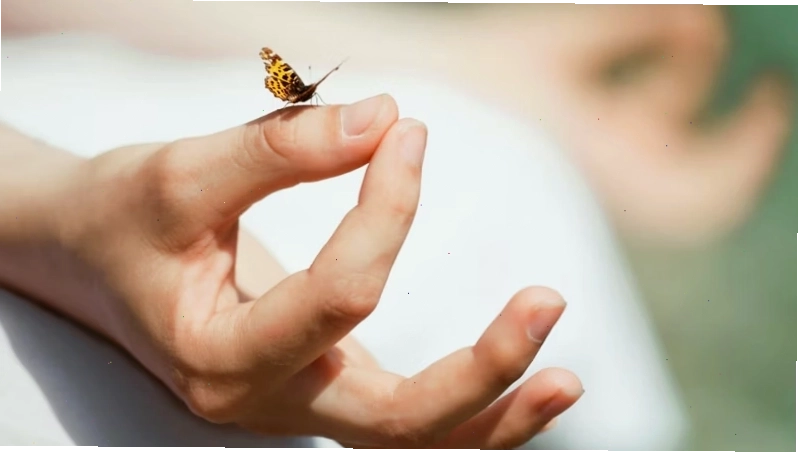 Tư thế bươm bướm (butterfly) mở hông