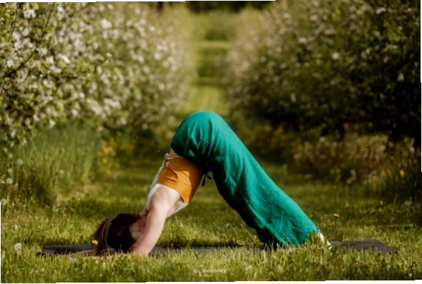 Tư thế Cá heo (Dolphin Pose) là bước chuẩn bị tốt cho tư thế Bánh Xe