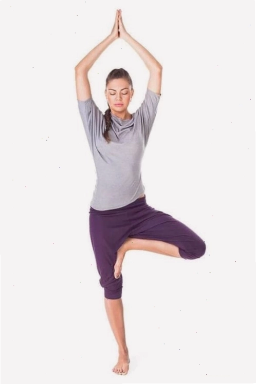 Tư thế cái cây (tree pose) giúp cải thiện thăng bằng