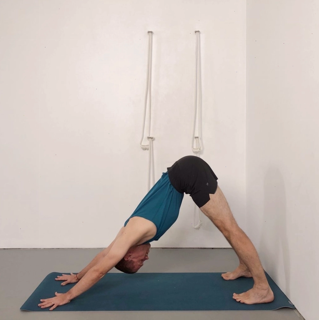 Tư thế Chó úp mặt (Downward Facing Dog)