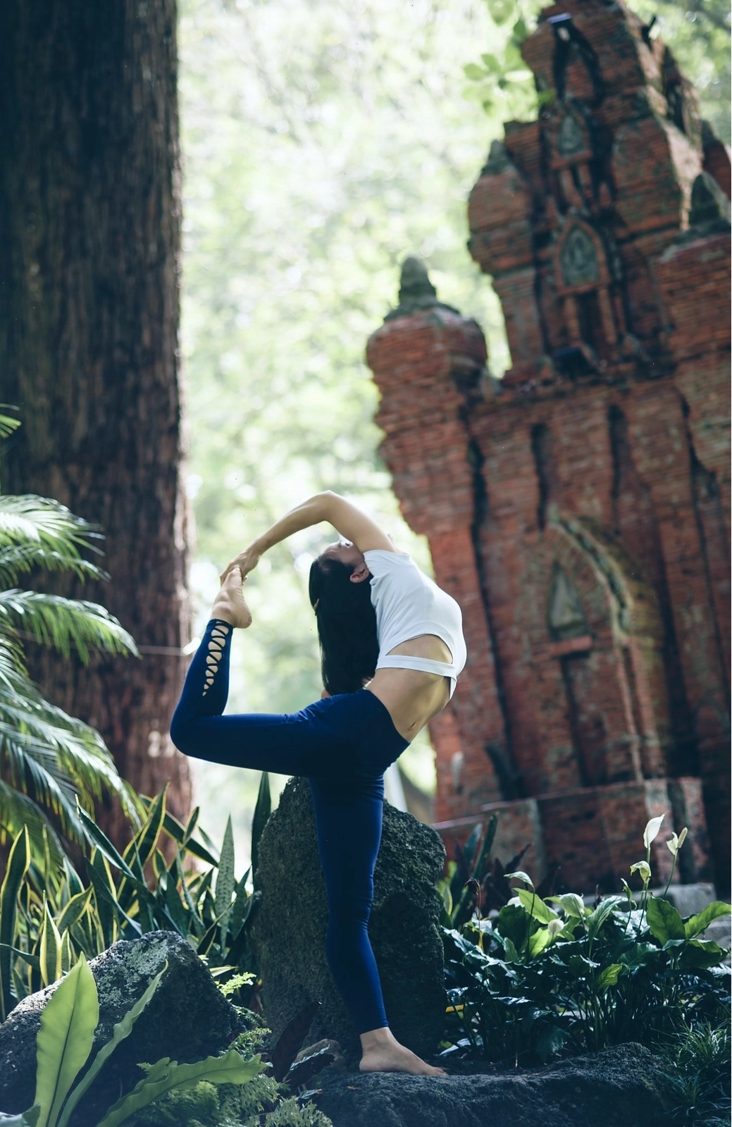 Tư thế Chó úp mặt tạo hình yoga nhóm đơn giản tại công viên