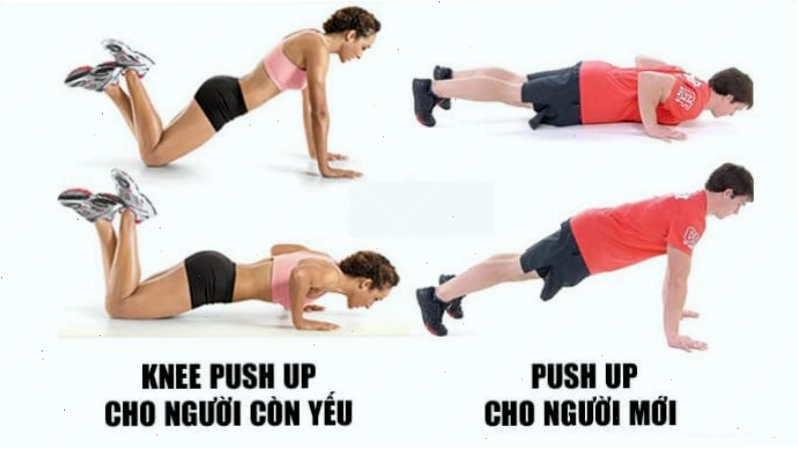 Tư thế chống đẩy quỳ gối