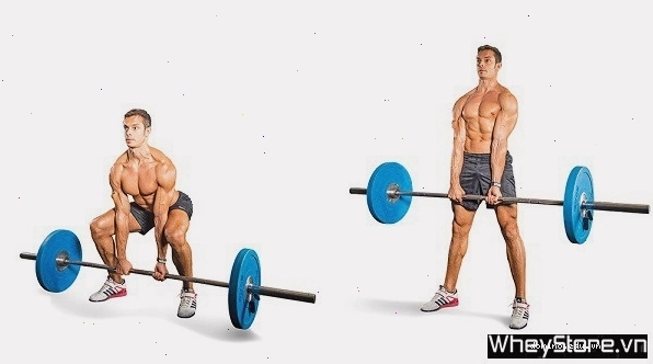 Tư thế chuẩn bị khi tập Deadlift với lưng thẳng và tay nắm chắc tạ