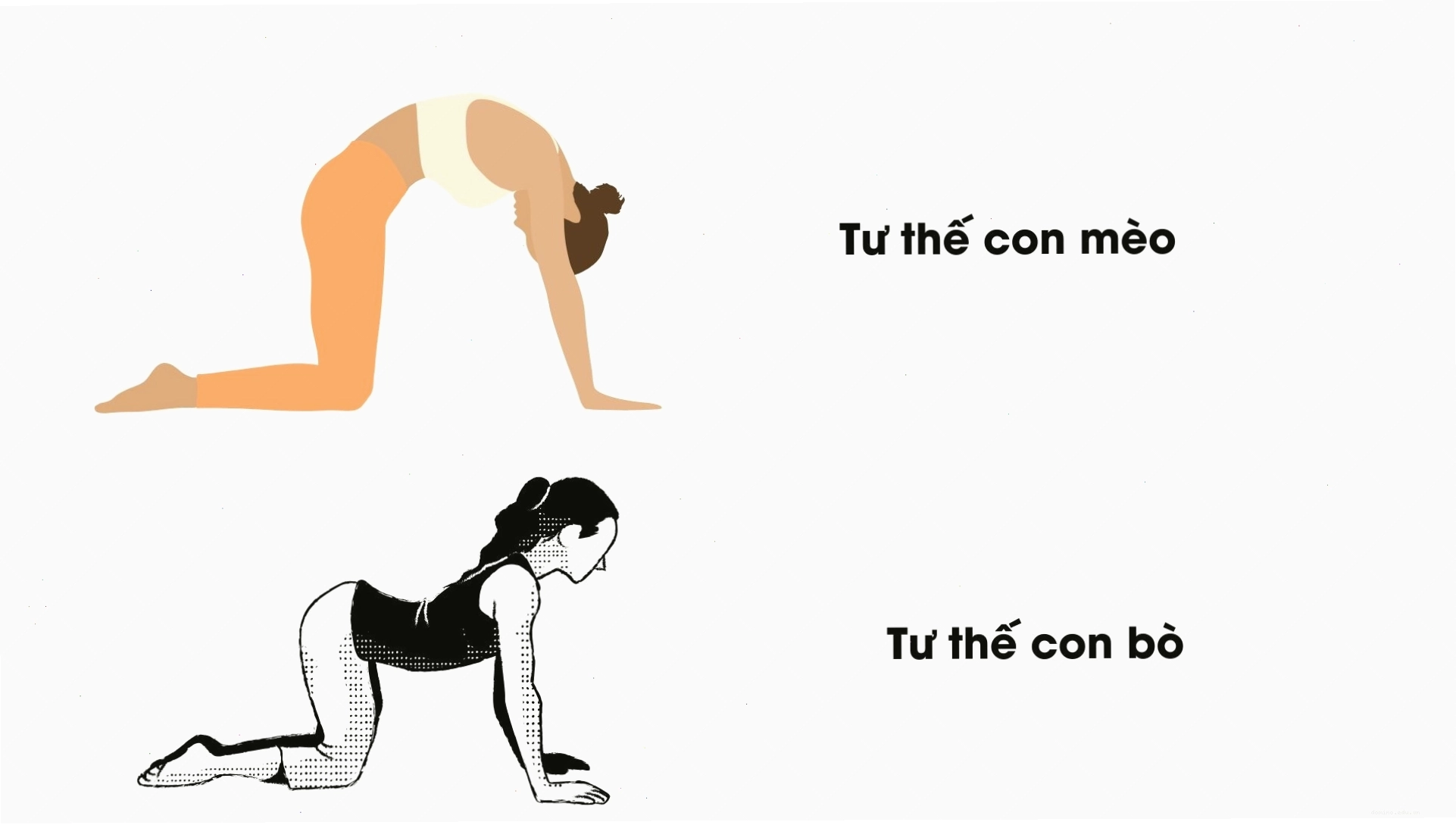 Tư thế con mèo con bò giúp giảm đau cổ vai gáy