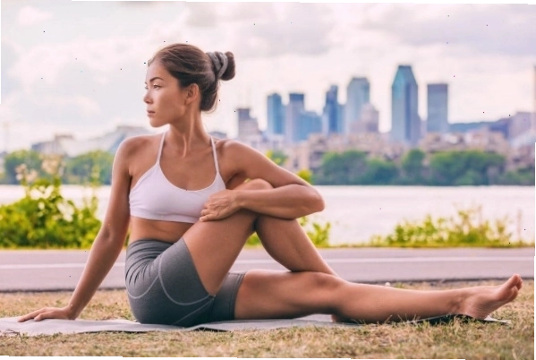 Tư thế con mèo con bò khởi động yoga