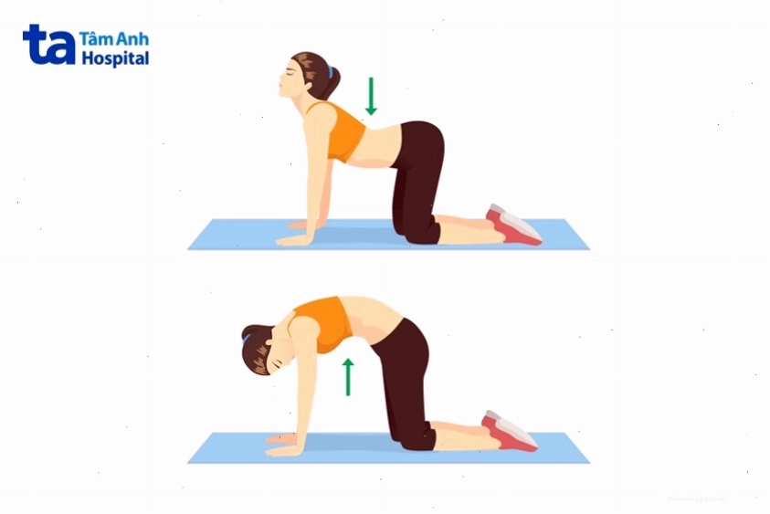 Tư thế con mèo trong Yoga giúp giảm mỡ bụng khi đến tháng