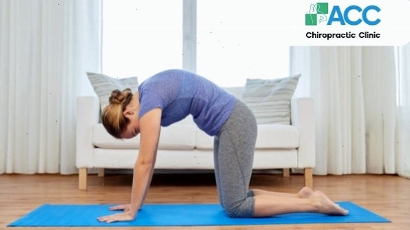 Tư thế Mèo Bò giúp kéo giãn đốt sống lưng