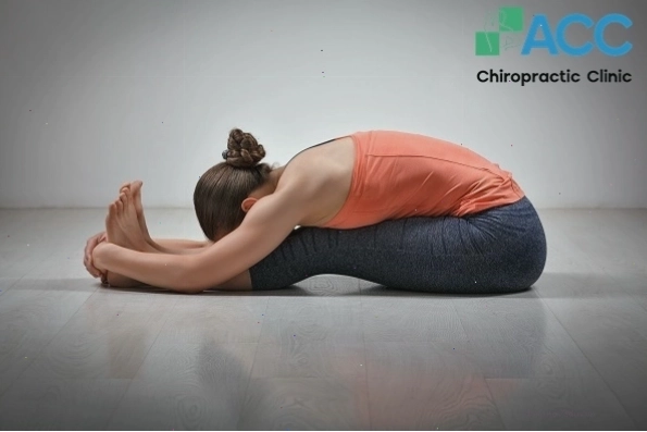 Tư thế Mèo Bò trong chuỗi bài tập yoga cho cột sống