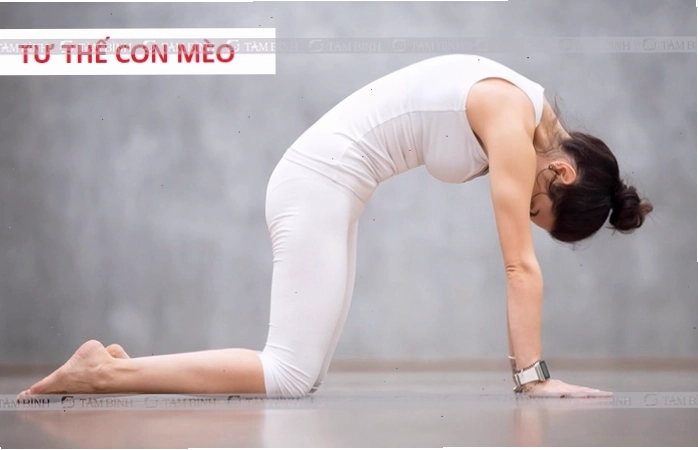 Tư thế Mèo kéo giãn giúp tăng linh hoạt cho cột sống
