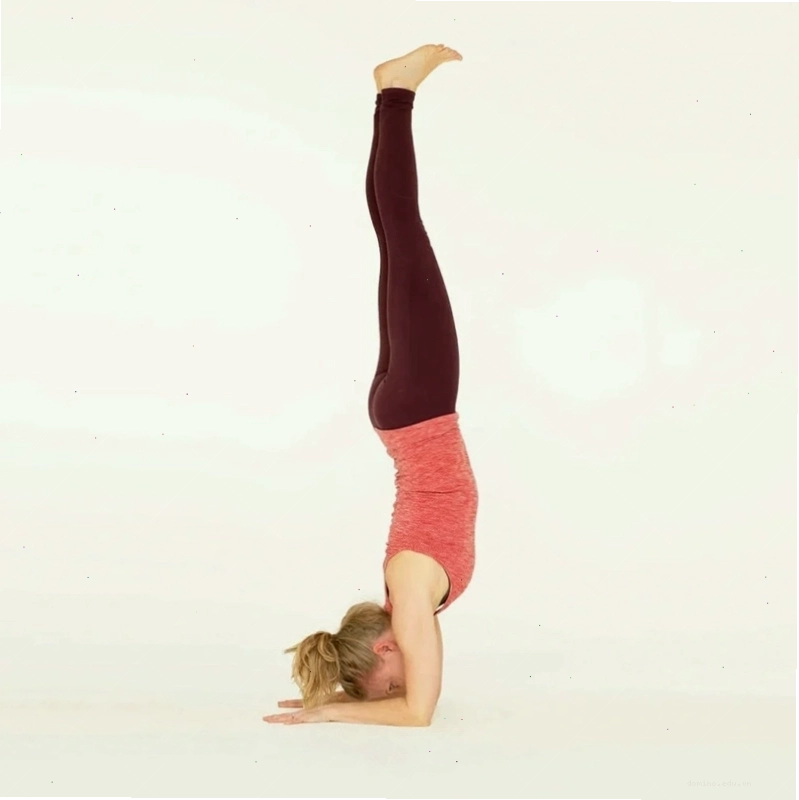 Tư thế Yoga nâng cao: Con khỉ