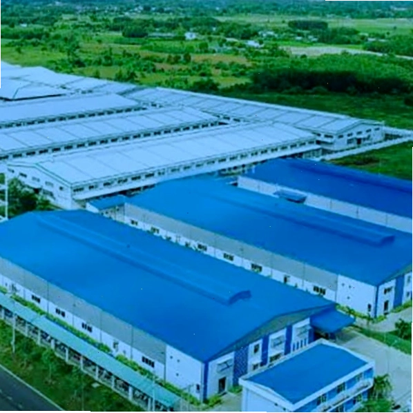 Túi 10 Bìa bao Tập sinh viên Thiên Long NBC-005