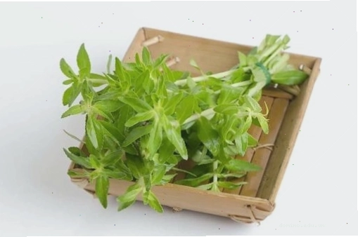 Uống nước đậu đen có giảm cân không, lợi ích sức khỏe