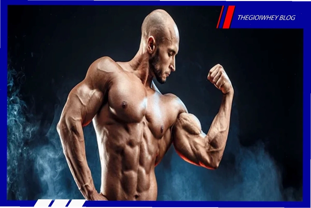 Vai trò của ATP với người tập thể hình