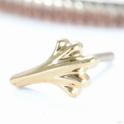 Whipsnap Press-fit End in Gold from Regalia