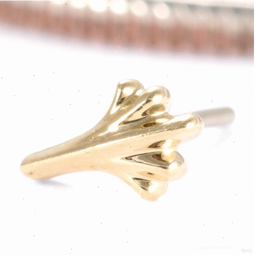 Whipsnap Press-fit End in Gold from Regalia - Trang sức độc đáo hình roi da