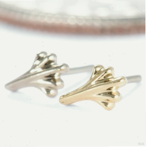 Whipsnap Press-fit End in Gold from Regalia