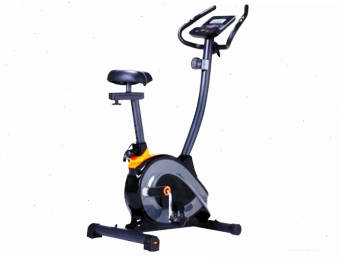 Xe đạp cố định Royal 591C