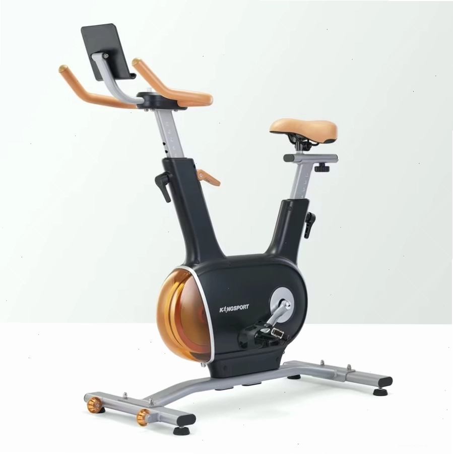 Xe đạp tập thể dục Kingsport Creative E-03