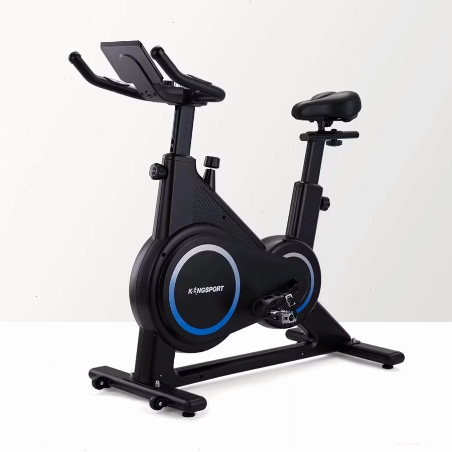 Xe đạp tập thể dục Kingsport Enjoy E-02, thiết kế nhỏ gọn và hiện đại