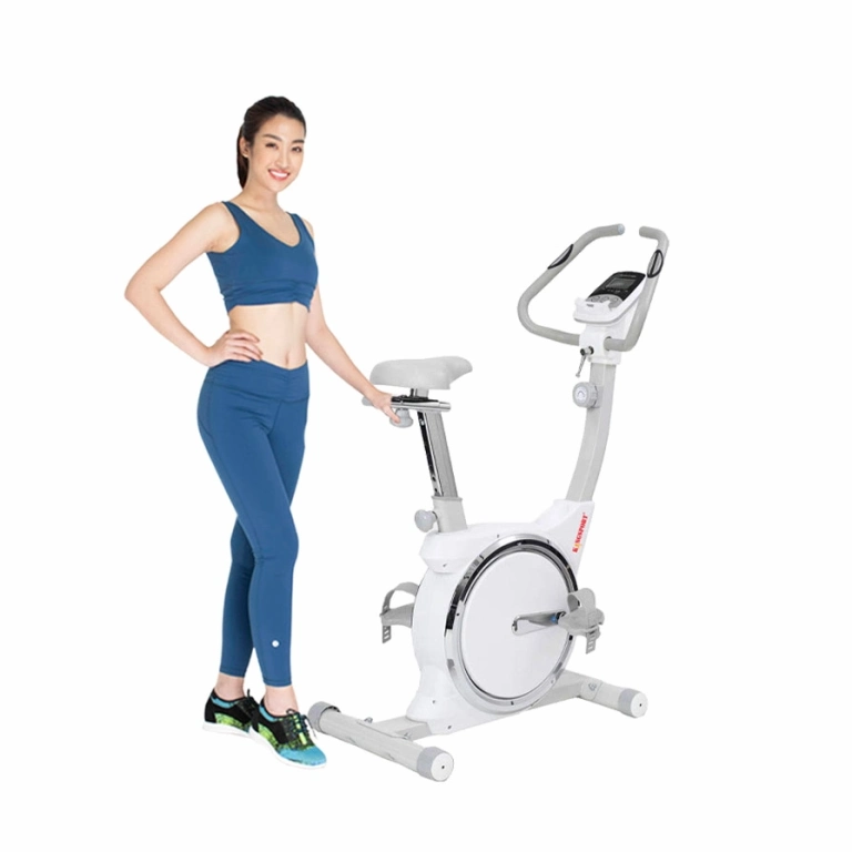Xe đạp tập thể dục Kingsport: Lựa chọn hoàn hảo cho sức khỏe và vóc dáng