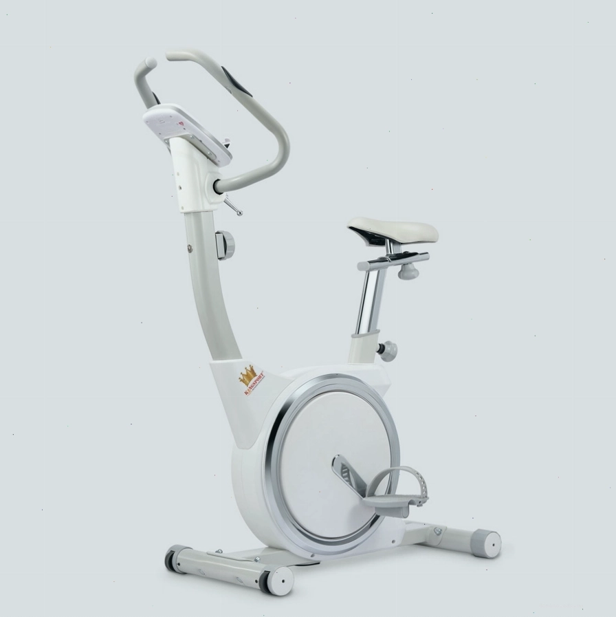 Yên ngồi và tay lái có thể điều chỉnh trên xe đạp tập Kingsport KS-102