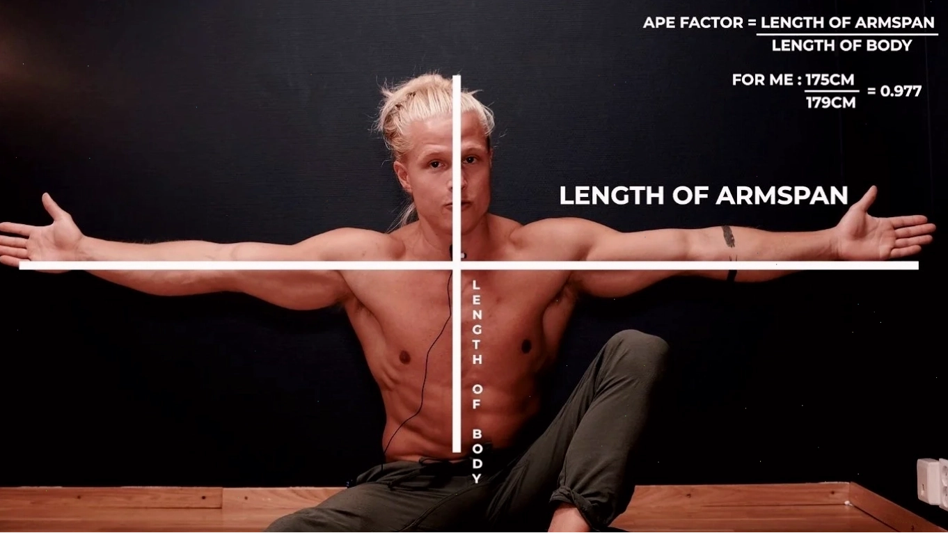 Yếu tố Ape factor và cách tạo hiệu ứng cánh tay dài hơn