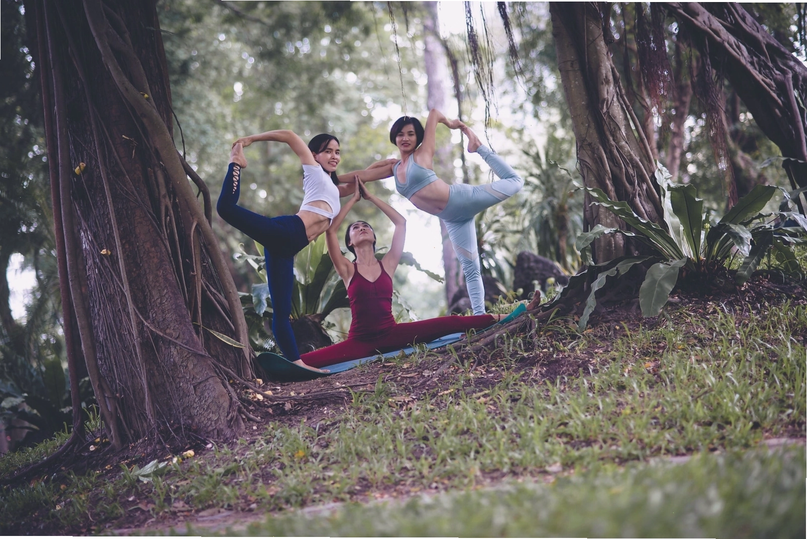 Yoga cho mọi lứa tuổi